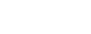 flexi